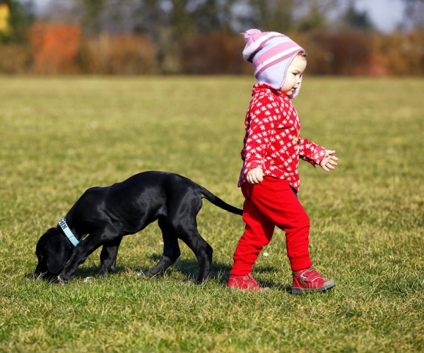 Child walking with black puppy