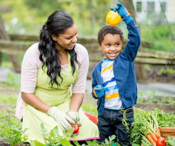 mother and sone picking vegetables in the garden