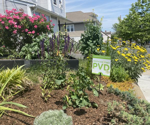 Pesticide Free PVD