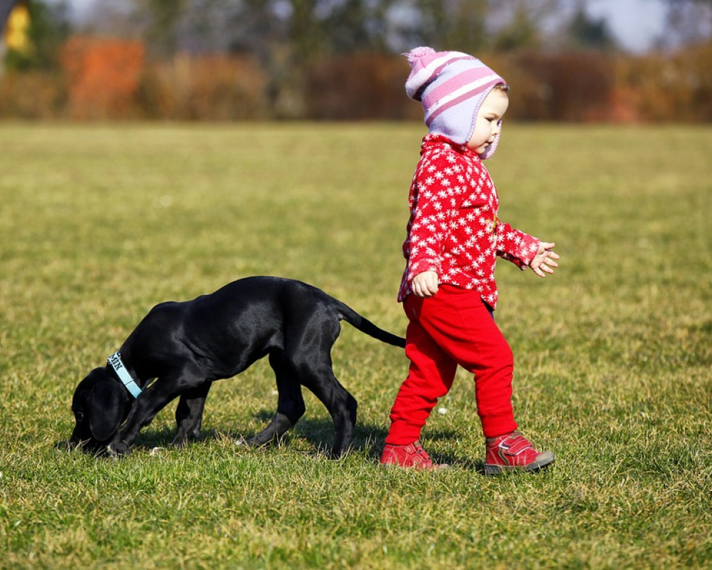 Child walking with black puppy