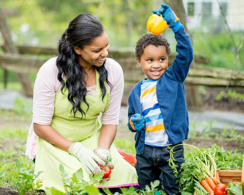 mother and sone picking vegetables in the garden