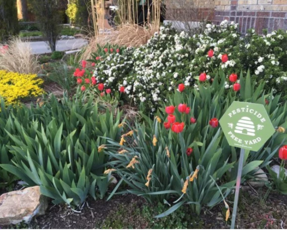 Case Study: How Being a Bright City Can Lead to  Even More Wins for Your Community