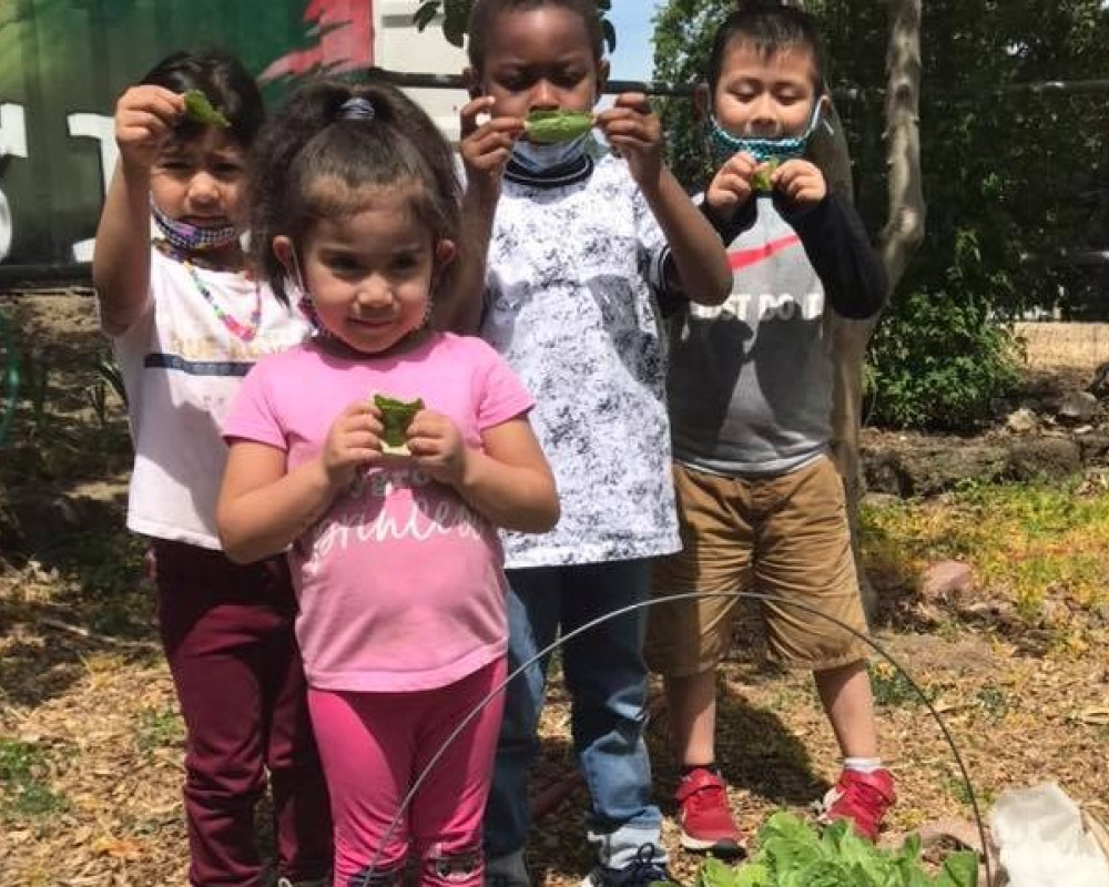 Toddlers at the Production Farm in Marin