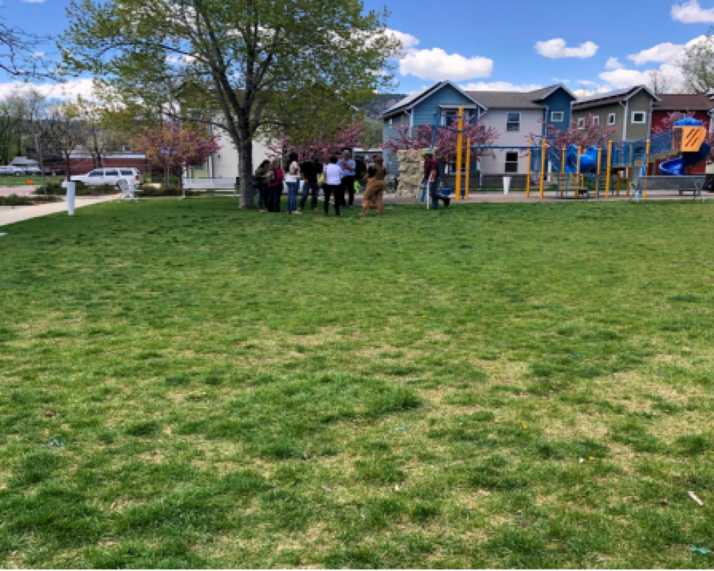 Soil Samples in a BHP neighborhood