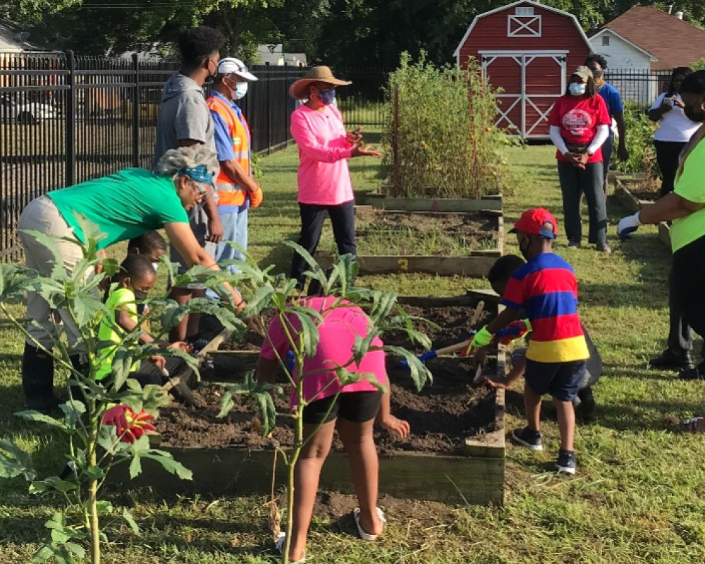 Community Garden Pine Bluff