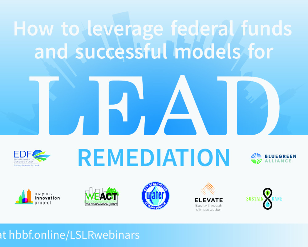 Powerpoint slide: Lead